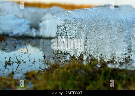 Kleine Eisschollen mit fliegenden Tropfen am Flussufer schmelzen durch die Hitze im Frühling nahe dem grünen Gras. Stockfoto