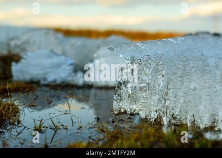 Kleine Eisschollen am Flussufer schmelzen durch die Hitze im Frühling in der Nähe des grünen Grases. Stockfoto