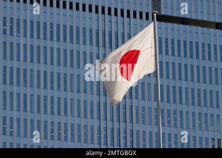 Tokio, Japan. 1. Februar 2023. Eine japanische Hinomaru-Flagge, die japanische Staatsflagge, die vor einem Bürogebäude fliegt. Japanische Wirtschaft, japanische Geschäfte, japanische Regierung, Tokio.Nagatacho ist ein Bezirk im Chiyoda-Bezirk von Tokio, Japan, und beherbergt das politische Zentrum des Landes, darunter die offizielle Residenz des Premierministers, das National Diet Building und den Sitz mehrerer Regierungsbehörden. Auf Japanisch wird es als é•·c°c‘° (Nagatacho) bezeichnet. Es gilt als einer der einflussreichsten Gebiete in Japan und wird oft als „Zentrum der japanischen Politik“ bezeichnet. Kredit: ZUMA Press, Stockfoto