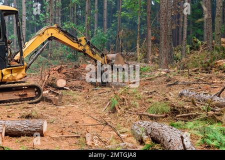 Während des Abholzungsprozesses arbeitet der Traktor-Manipulator, um Bäume zu entwurzeln und Stämme zu heben, um Land für den Wohnungsbau vorzubereiten. Stockfoto