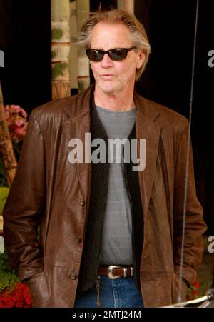 Schriftsteller, Schauspieler und Regisseur Sam Shepard wartet vor dem Four Seasons, nachdem er das Luxushotel verlassen hat. Sam ist als Nächstes in „Fair Game“ mit Sean Penn und Naomi Watts zu sehen. Los Angeles, Kalifornien. 06/12/10. Stockfoto