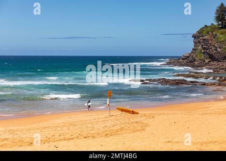 Männlicher Surfer verlässt den Ozean am Avalon Beach Sydney an einem blauen Sommertag, Sydney, NSW, Australien Stockfoto