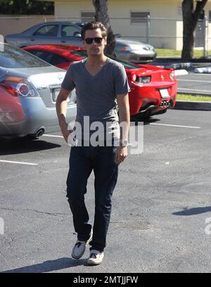 EXKLUSIV!! Kourtney Kardashians Partner Scott Disick wurde am Morgen von Halloween in einem hellroten Ferrari 458 Italia in einem Halloween-Kostümladen gesehen. Scott trug ein graues T-Shirt mit blauen Jeans und grauen Schuhen und wurde gesehen, wie er in letzter Minute ein mögliches Kostüm gekauft hatte. Er wurde gesehen, wie er mit dem Aufseher vor der Tür die Hand schüttelte, bevor er in den Ferrari sprang und den Ort verließ. Miami, Florida 31. Oktober 2012. Stockfoto