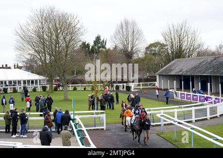 Razzo Italiano fuhr von Tabitha Worsley und führte vom Paradering vor der Leicester Racecourse Ideal Self-Hire Wedding Venue und beanspruchte die Hürde auf der Leicester Racecourse. Bilddatum: Mittwoch, 1. Februar 2023. Stockfoto