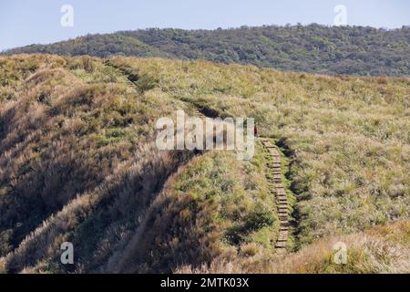 Sonniger Blick auf das Qingtiangang Grassland in Taipei, Taiwan Stockfoto