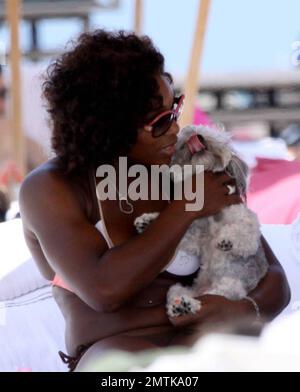 Tennismeisterin und Hundefreundin Serena Williams bekommt etwas Liebe von einem niedlichen Hund, der für einen Besuch am Strand vorbeikam. Serena genoss einen Tag der Entspannung nach ihrer Niederlage gegen Victoria Azarenka im Finale von Sony Ericsson und überschüttete den kleinen Hund mit Liebe. Serenas eigener Hund, ein Jack Russell Terrier namens Jackie, war auch mit ihr am Strand. Williams wurde zu ihrer Schwester Venus und ihren Freunden. Die Gruppe aß zu Mittag, entspannte sich am Strand, nahm ein Bad im Meer und fuhr mit einem Jetski, von dem sie im warmen Atlantik fiel. Miami, Florida 4/5/09. Stockfoto