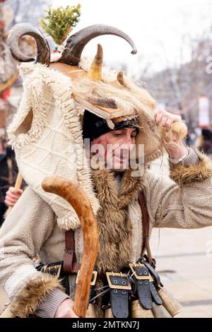 Müde Kukeri-Tänzerin mit abgenommener Maske nach einer Aufführung beim Surva International Masquerade and Mummers Festival in Pernik, Bulgarien, Osteuropa, Balkan, EU Stockfoto