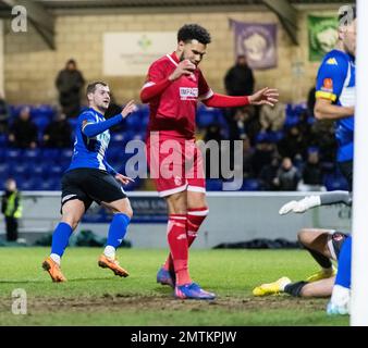 Chester, Cheshire, England. 31. Januar 2023 Chester's Anthony Dudley feiert Chesters Tor während des Fußballclubs Chester Football Club V Alfreton Town im Deva Stadium in der National League North (Bild: ©Cody Froggatt) Stockfoto