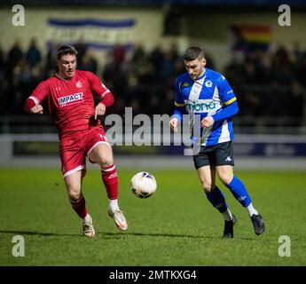 Chester, Cheshire, England. 31. Januar 2023 Chester's Alex Brown, während des Chester Football Club V Alfreton Town Football Club im Deva Stadium, in der National League North (Bild: ©Cody Froggatt) Stockfoto