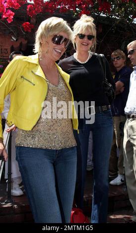 Die besten Freunde Sharon Stone und Melanie Griffith essen zusammen im Ivy zu Mittag, bevor sie ihren Laden nebenan in der High-End-Boutique Les Habitudes kaufen. Sharon und Melanie schienen eine tolle Zeit zu haben, Kleider und Sonnenbrillen anzuprobieren. Sie verließen die Boutique zu einer riesigen Gruppe von Fotografen und Fans. Los Angeles, Kalifornien, 5/8/08. Stockfoto