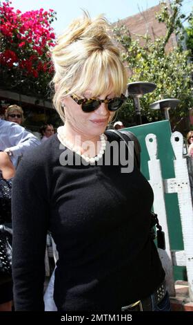 Die besten Freunde Sharon Stone und Melanie Griffith essen zusammen im Ivy zu Mittag, bevor sie ihren Laden nebenan in der High-End-Boutique Les Habitudes kaufen. Sharon und Melanie schienen eine tolle Zeit zu haben, Kleider und Sonnenbrillen anzuprobieren. Sie verließen die Boutique zu einer riesigen Gruppe von Fotografen und Fans. Los Angeles, Kalifornien, 5/8/08. Stockfoto