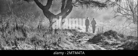 Einfarbiges Panorama von zwei Wanderer auf der Sutton Bank in Nebel, North Yorkshire Moors, England Stockfoto