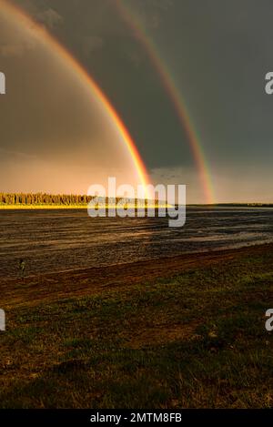 Ein doppelter Regenbogen tritt aus den Power-Pylons hervor und ein sonnenbeleuchteter Wald vor einem dunklen Himmel. Eine Anglerin, Stockfoto
