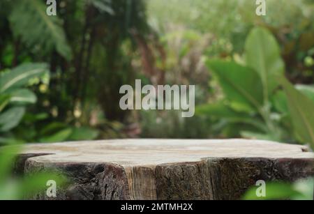 Leere Tischplatte Holz-Gegenpodest im tropischen Garten im Freien Wald verschwommener grüner Pflanzenhintergrund mit space.organic-Produkt präsentiert natürliches Licht Stockfoto