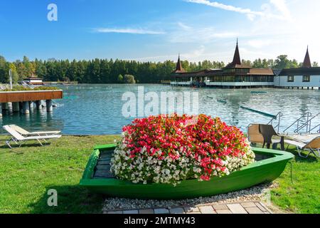 Die berühmte Thermalquelle Heviz mit Blumen in Ungarn. Stockfoto