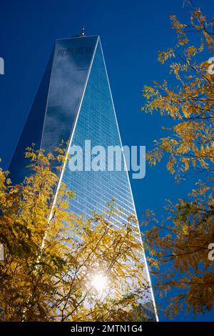 Ein World Trade Centre, früher bekannt als Freedom Tower, erleuchtet von der Herbstsonne mit Bäumen im Vordergrund. Stockfoto