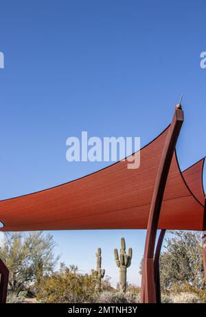 Nahaufnahme eines Sonnenschirms in der Wüste mit Kaktus im Hintergrund Stockfoto