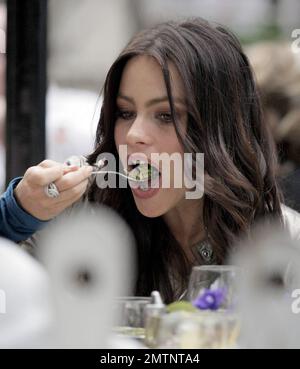 Sofia Vergara und ein mysteriöser Mann essen zusammen im Ivy. Die Schauspielerin/das Model wurde mit dem Kopf auf der Schulter des Mannes gesehen und lächelte und lachte sich durch ein sehr angenehmes Essen. Los Angeles, Ca. 3/1/08 Stockfoto