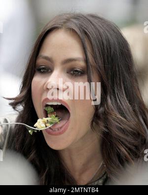 Sofia Vergara und ein mysteriöser Mann essen zusammen im Ivy. Die Schauspielerin/das Model wurde mit dem Kopf auf der Schulter des Mannes gesehen und lächelte und lachte sich durch ein sehr angenehmes Essen. Los Angeles, Ca. 3/1/08 Stockfoto