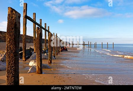 Überreste von verlassenen Meeresschutzgebieten, die in Niedrigwasser an der Küste von Norfolk in Happisburgh, Norfolk, England, Vereinigtes Königreich, zu sehen sind. Stockfoto