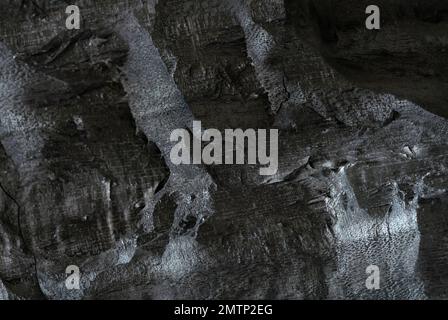 Nahaufnahme abstrakter makroschwarzer natürlicher Holzkohle mit Baumstruktur aus Hartholz. Konzeptionsidee für dunkle Tapete, Materialhintergrund, traditioneller Enter Stockfoto