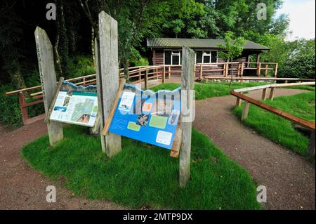 European Beaver (Castor Fiber) Reintroduction project Visitor Centre in Barnluasgan, Knapdale, Argyll, Schottland, Juli 2009 Stockfoto