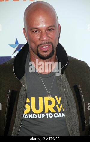 Üblich bei den Hollywood Unites für den Biennial Stand Up to Cancer 4. (SU2C), ein Programm der Entertainment Industry Foundation (EIF), das im Dolby Theatre in Hollywood, Kalifornien, stattfindet. 5. September 2014. Stockfoto