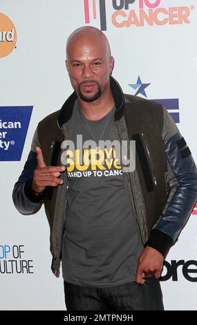 Üblich bei den Hollywood Unites für den Biennial Stand Up to Cancer 4. (SU2C), ein Programm der Entertainment Industry Foundation (EIF), das im Dolby Theatre in Hollywood, Kalifornien, stattfindet. 5. September 2014. Stockfoto