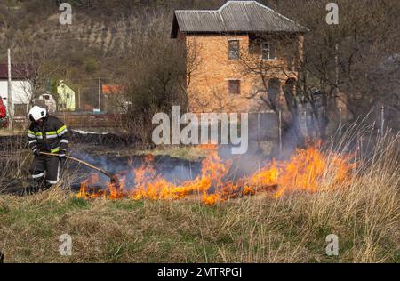 Frühlingsfeuer, brennendes trockenes Gras in der Nähe von Gebäuden auf dem Land. Der Feuerwehrmann löscht die Flamme. Umweltkatastrophe. Stockfoto