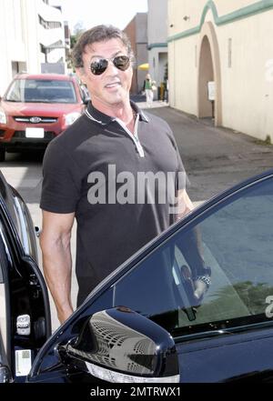 Sylvester Stallone verlässt ein Beverly Hills Café mit Freunden nach einem Mittagessen mit dem kalifornischen Gouverneur und der Actionfilmlegende Arnold Schwarzenegger. Los Angeles, Kalifornien. 10/11/08. Stockfoto