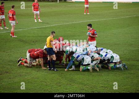 Munster scrum während ihres Spiels gegen Benetton Rugby in Treviso im Januar 2023 in der URC Stockfoto