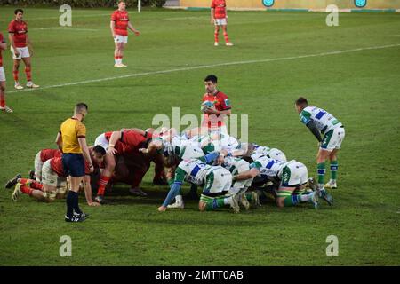 Munster scrum während ihres Spiels gegen Benetton Rugby in Treviso im Januar 2023 in der URC Stockfoto