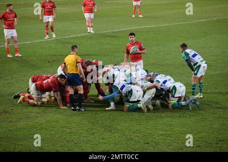 Munster scrum während ihres Spiels gegen Benetton Rugby in Treviso im Januar 2023 in der URC Stockfoto