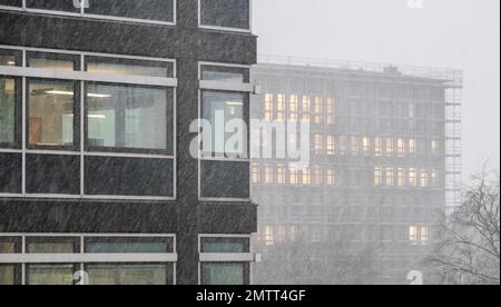 Hannover, Deutschland. 01. Februar 2023. Im stürmischen Hannover regnet es Katzen und Hunde. Kredit: Marco Rauch/dpa/Alamy Live News Stockfoto