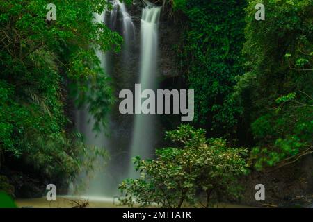 Die natürliche Frische des Curug oder der Wasserfälle Gondoroiyo in Semarang. Indonesien. Langzeitbelichtung. Stockfoto