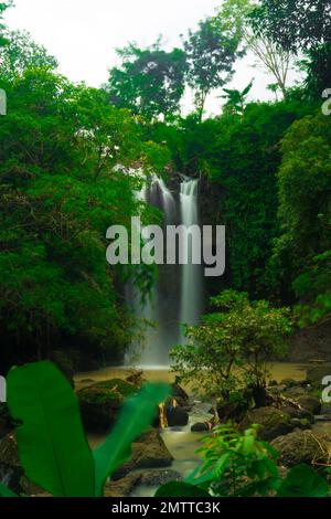 Die natürliche Frische des Curug oder der Wasserfälle Gondoroiyo in Semarang. Indonesien. Langzeitbelichtung. Stockfoto