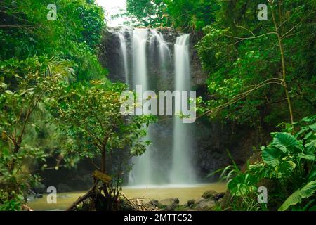 Die natürliche Frische des Curug oder der Wasserfälle Gondoroiyo in Semarang. Indonesien. Langzeitbelichtung. Stockfoto