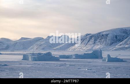 Eisberge im Meereis in Uummannaq Fjord, Nordwestgrönland Stockfoto