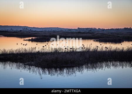 Sonnenuntergang über dem Rye Harbour Nature Reserve, East Sussex, England Stockfoto