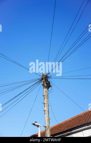 Telefonkabel und Anschlussdose an der Spitze eines Holzmasts am blauen Himmel Stockfoto