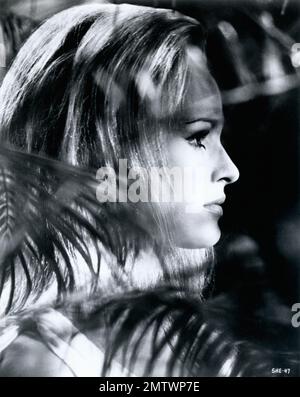 She Year : 1965 UK Realisateur : Robert Day Ursula Andress Stockfoto