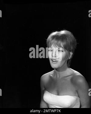 A Couteaux tirés Daggers gezeichnet Jahr 1964 Frankreich Direktor: Charles Gérard Petula Clark Stockfoto