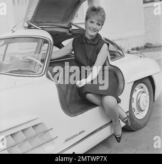 A Couteaux tirés Daggers gezeichnet Jahr 1964 Frankreich Direktor: Charles Gérard Petula Clark Stockfoto