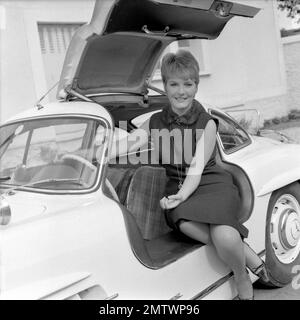 A Couteaux tirés Daggers gezeichnet Jahr 1964 Frankreich Direktor: Charles Gérard Petula Clark Stockfoto