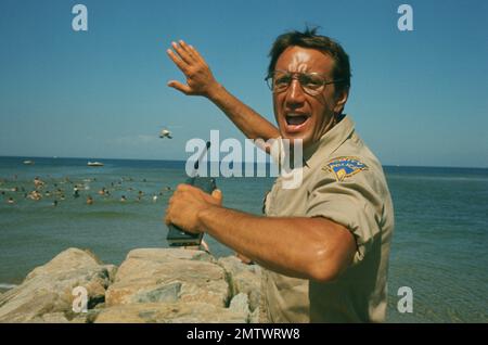 Jaws Jahr : 1975 USA Regisseur : Steven Spielberg Roy Scheider Stockfoto