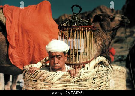 Ali Baba et les Quarante voleurs Jahr : 1954 Frankreich Regisseur : Jacques Becker Fernandel Stockfoto