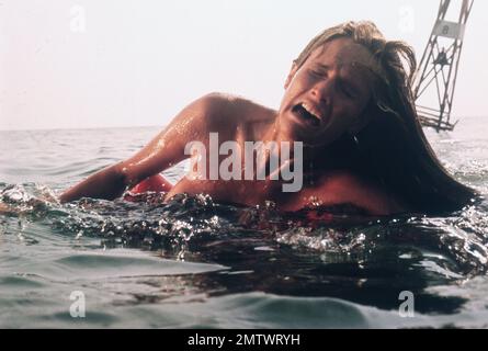 Jaws Jahr : 1975 USA Regisseur : Steven Spielberg Susan Backline Stockfoto