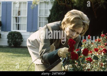 American Beauty Year : 1999 USA Regisseur : Sam Mendes Annette Bening Stockfoto