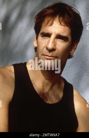 American Beauty Year : 1999 USA Regisseur : Sam Mendes Scott Bakula Stockfoto