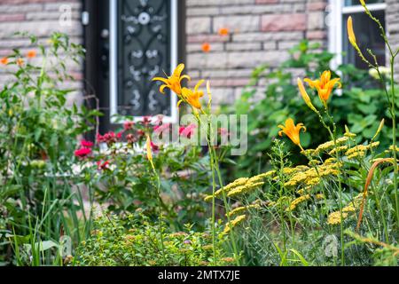 Haus im gemütlichen Stil mit englischem Cottage Design Garten, Brownsburg, Quebec, Kanada Stockfoto